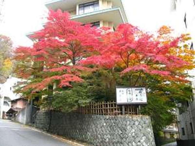 Yokotekan Shibukawa Luaran gambar